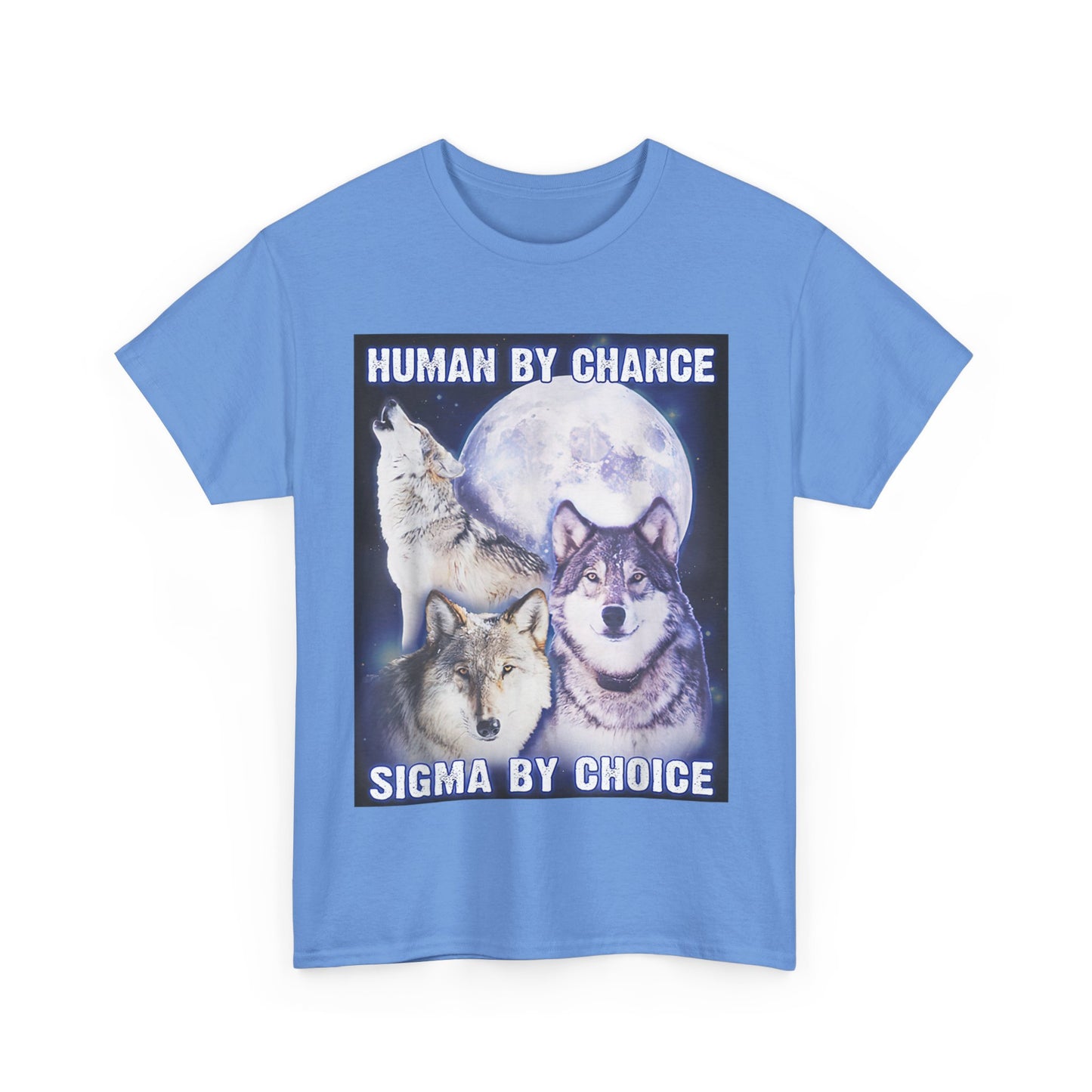 Human By Chance, Sigma By Choice T-Shirt