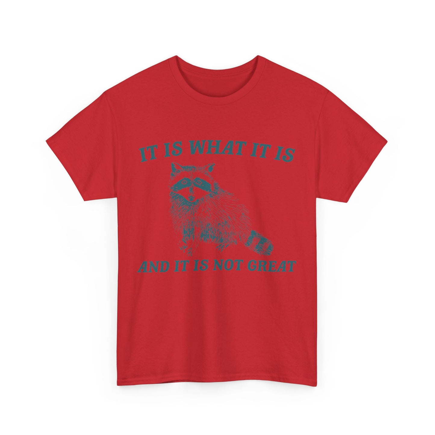 "It Is What It Is" Funny Raccoon T-Shirt