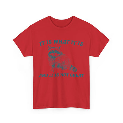 "It Is What It Is" Funny Raccoon T-Shirt