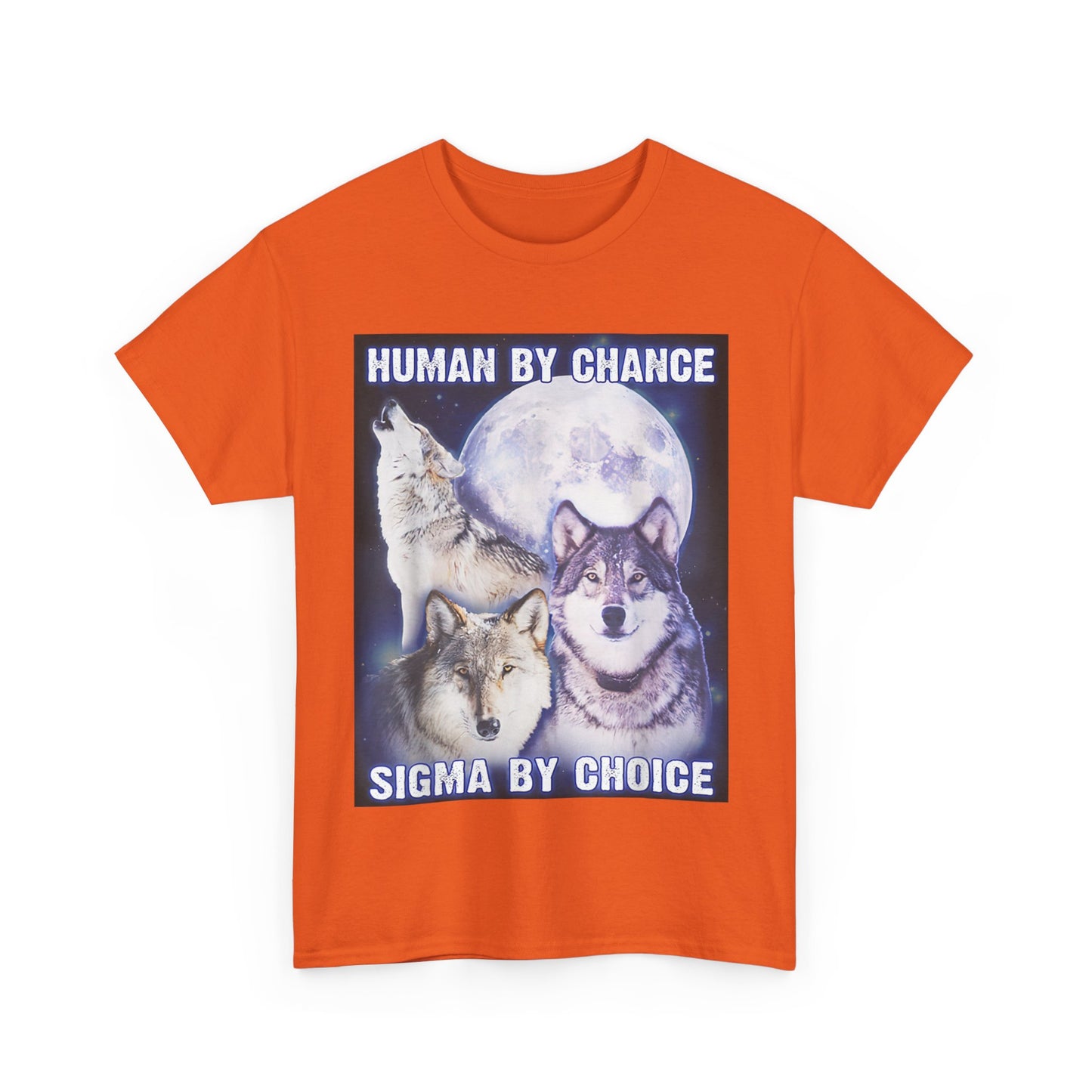 Human By Chance, Sigma By Choice T-Shirt