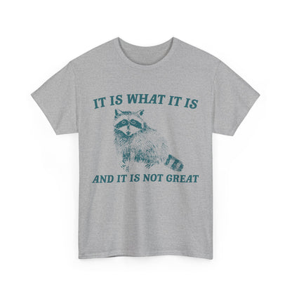 "It Is What It Is" Funny Raccoon T-Shirt