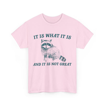 "It Is What It Is" Funny Raccoon T-Shirt