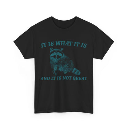 "It Is What It Is" Funny Raccoon T-Shirt