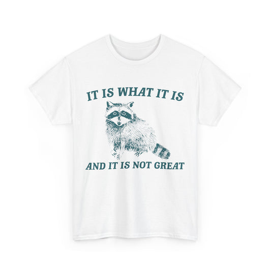 "It Is What It Is" Funny Raccoon T-Shirt