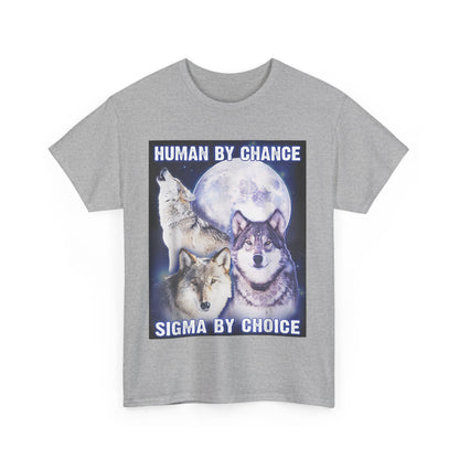 Human By Chance, Sigma By Choice T-Shirt