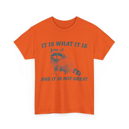 "It Is What It Is" Funny Raccoon T-Shirt