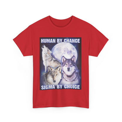 Human By Chance, Sigma By Choice T-Shirt