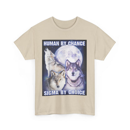 Human By Chance, Sigma By Choice T-Shirt