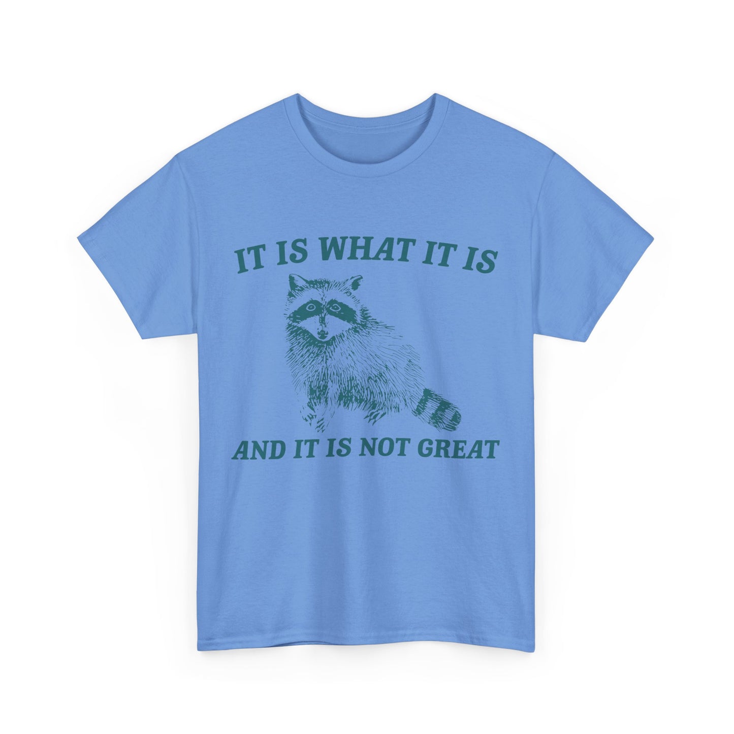 "It Is What It Is" Funny Raccoon T-Shirt