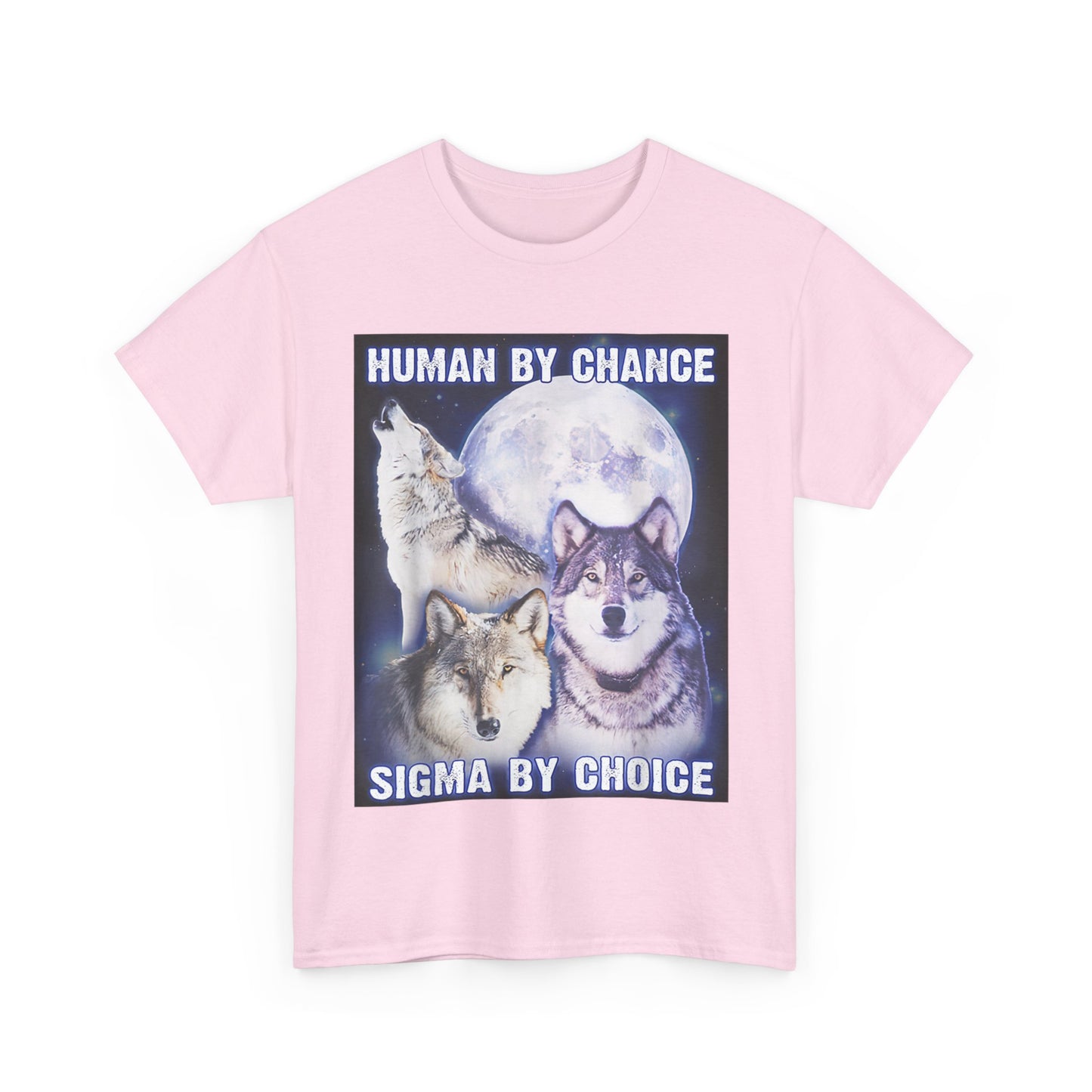 Human By Chance, Sigma By Choice T-Shirt